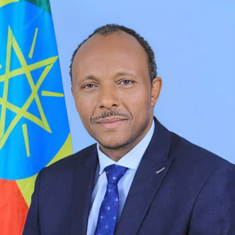 H.E. Dr. Ing. Habtamu Itefa